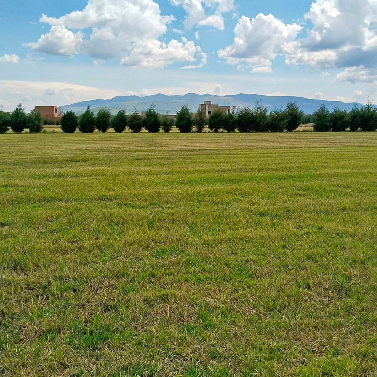 Parcela 19 · Nubes — fotografía 2
