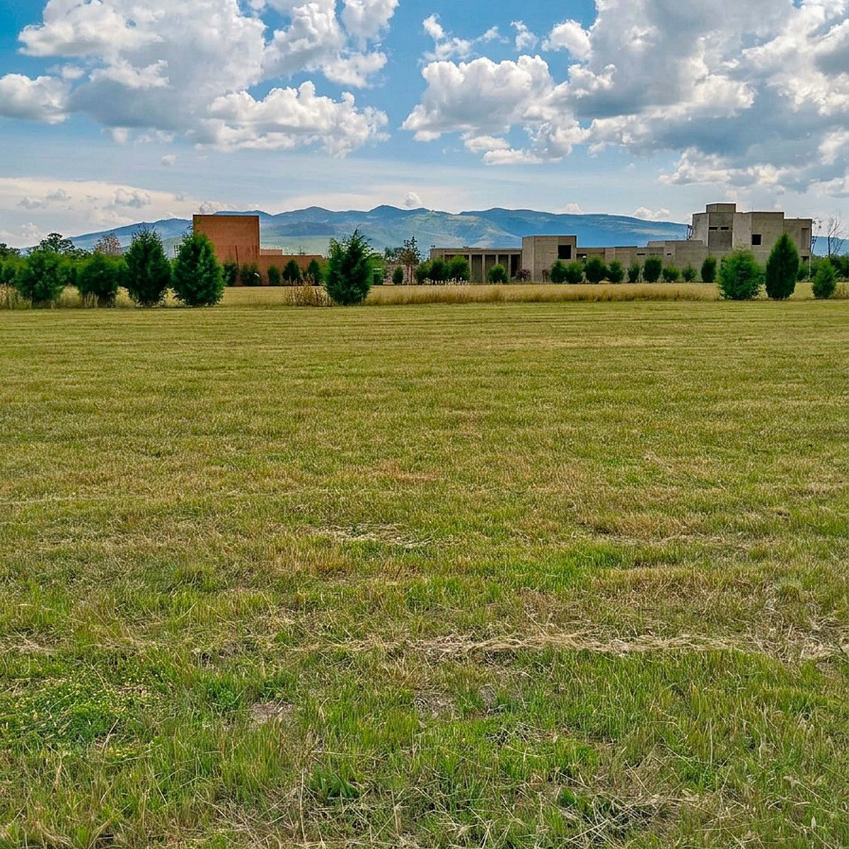 Parcela 5 · Tierra — fotografía 2